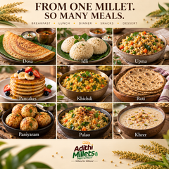 Adithi Foxtail Millet – Kurnool Korra | Thinai | Kangni | Navane